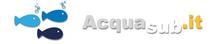 Добро пожаловать на Acquasub