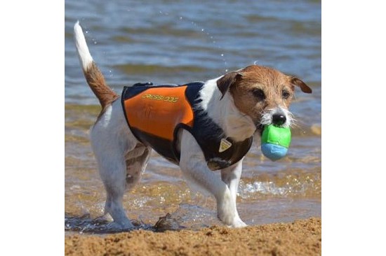 Wetsuit for Dog