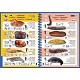 padi log book refill pages | logbook buceo padi | padi log book dimensions