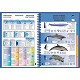 ricambi logbook padi | padi log book binder | padi logbook refill | padi diver's log book