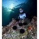 log book padi cordura binder | padi log book cover | padi log book card holder