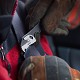 pinza multiuso o coltello | pinza multiuso black and decker | pinza multiuso leatherman
